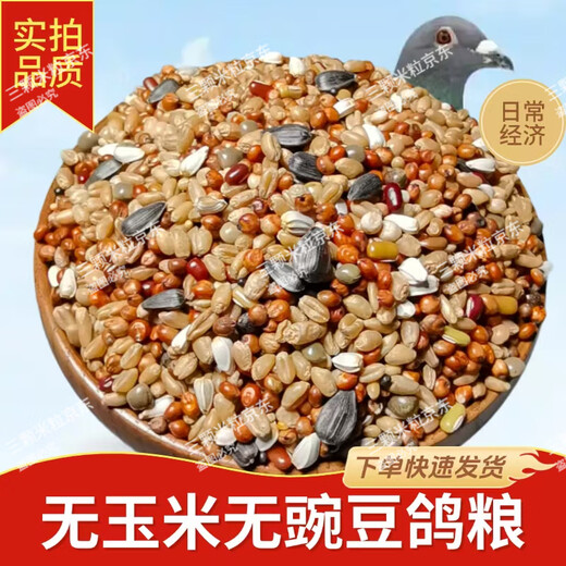 New pigeon food 20 Jin Jin is equal to 0.5 kg. Corn-free pigeon food with corn pigeon feed racing nutrition pigeon food for adult and young pigeons 5 Jin Jin is equal to 0.5 kg. Corn-free pigeon food without peas 20 Jin Jin is equal to 0.5 kg.