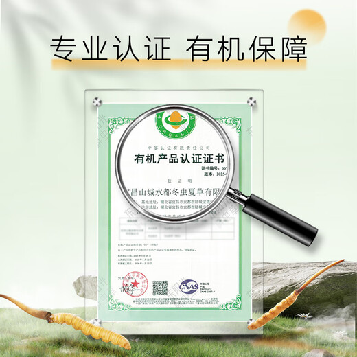 东阳光冬虫夏草3-4根/g10根滋补礼盒冬虫草营养品补品送长辈端午节礼物