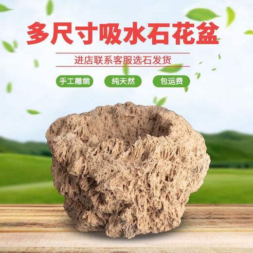 Absorbent stone flower pot, natural strange stone, absorbent stone, water-absorbing stone, raw stone stone pot, calamus succulent potted plant, bonsai micro-scape, 10-12cm stone pot + round base + grass seeds