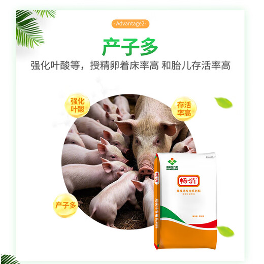 Changxiao New Hope Liuhe Changxiao 8% Pregnant Sow Compound Premixed Feed GY886 8% Pregnant Sow Feed (20kg)