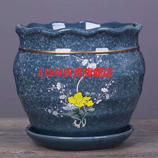 天南兄弟 TNBROTHERS新款陶瓷带托盘简约新中式阳台兰花  盆栽多肉定制WN 灰7170幸福一个 陶瓷中等