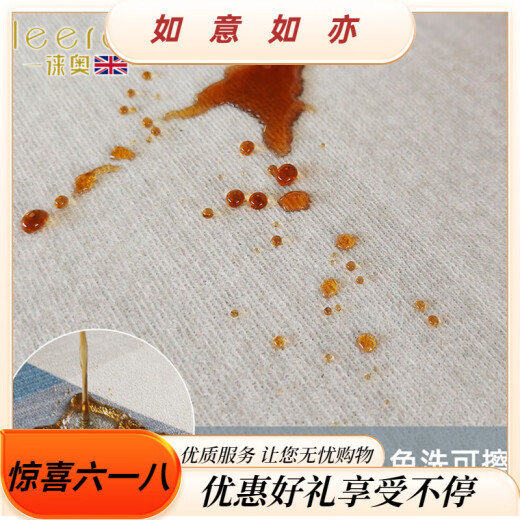 徕奥leerout客厅地毯免洗可擦沙发地垫大面积全铺房间高级感家用防水 简约13567号 300cm*240cm(耐脏易清洗)