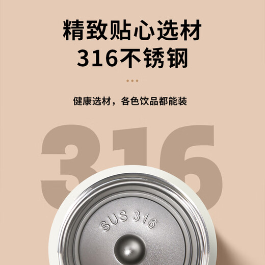 Chengliu Times Youth Group Smart 316 Thermal Cup Ma Jiaqi Cute Song Yaxuan Home Student Peripheral TNT Water Cup VV9272 Song-A Smart Cup 480ml