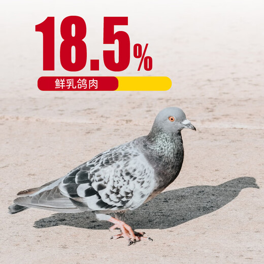 YJ (YJ) squab cat food for adult cats and kittens, general grain-free fresh meat, salmon oil food supplement, British short blue cat full price cat food nutrition 1.5kg squab full price all-age cat food