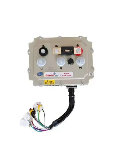 Wanzhuang Elektrofahrzeug -Controller 60v72V Inbor Lithium -Batterie zum Lesen von Boluda Jin Peng Shang Dian Hongrui 3527