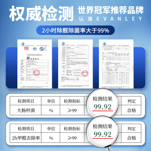 EVANLEY German ozone generator sterilizer household air purifier industrial food factory car sterilization and formaldehyde removal 5g/h (50 square meters)