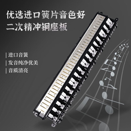 Импортная гармошка-гонг Chimei Leader с 37 клавишами (белая и черная, в полиуретановой сумке, с учебными материалами)