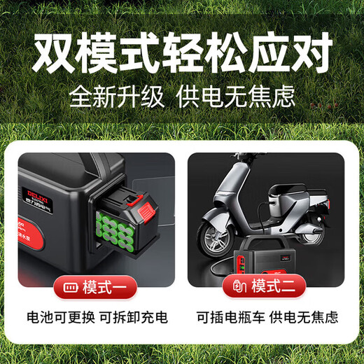 DELIXI ELECTRIC water pump rechargeable vegetable watering household car wash watering vegetable field watering artifact agricultural irrigation electric water pump 4-cylinder flagship strong endurance 12-meter pipe