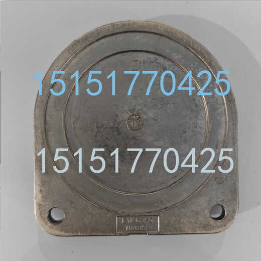 Festo Festo Membran Klemmzylinder/Clipplatte EV-15/63-DP/63-4 13784/13290 13784 EV-15/63-DP