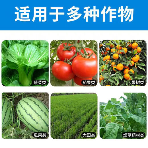 Compound calcium and magnesium granules multi-effect fertilizer for rooting and seedling plant disease organic silicon calcium magnesium fertilizer soil conditioning 25Jin Jin equals 0.5kg