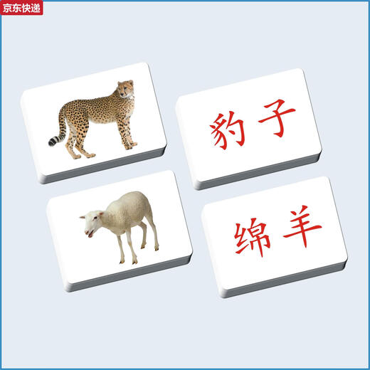奇立彩宝宝早教玩具教具杜曼百科动物闪卡右全脑课潜能开发认知卡片 48张动物卡