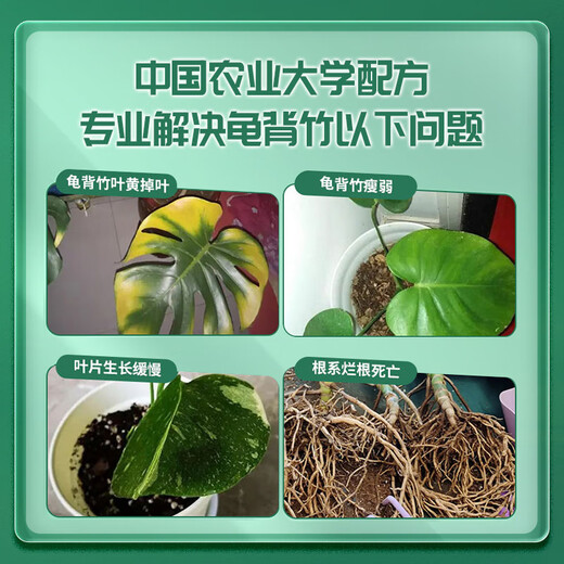 Manlife Monstera special fertilizer nutrient solution for hydroponics and soil cultivation dual-purpose 1.5L watering can transparent large watering can with long pole