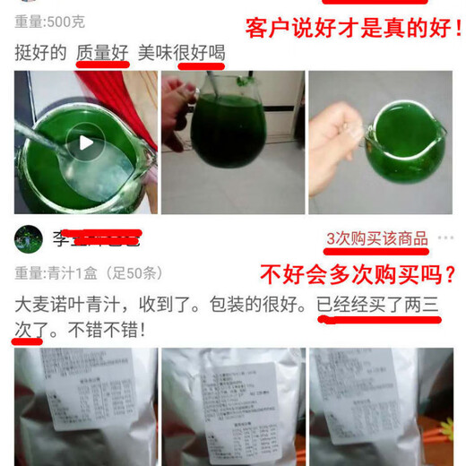 [1049 artículos en 30 días] Los estudiantes universitarios comienzan un negocio 500 g de jugo verde de cebada de cebada en polvo de cebada reemplazo de comidas en polvo más especificaciones 100 g