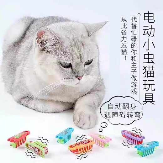 Cat and dog toy electric cute bug self-entertainment to relieve boredom and amuse the cat artifact automatic amusing cat smart bug 1 random ladybug type + 1 random nanobug type