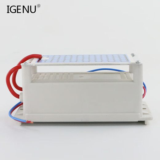 Aijenu 10g ozone generator power supply accessories ozone machine disinfection oxygen machine factory food workshop odor removal formaldehyde 220V5g (recommended by the store manager)