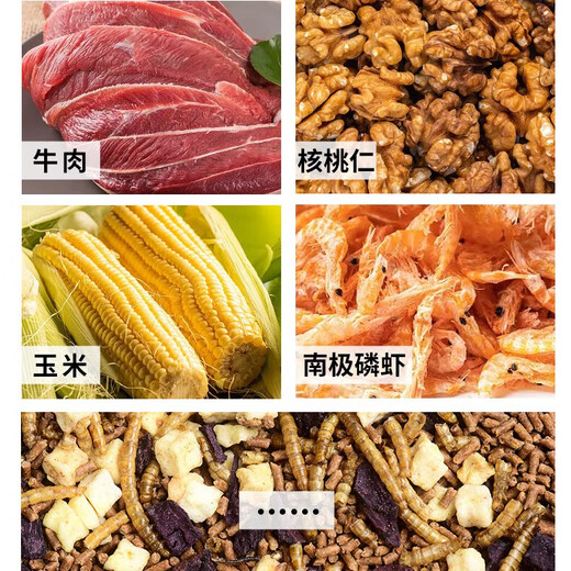 Fishing expert special food for cockatiels 1200g luxury mixed parrot feed nutrition full price bird food feed new yellow millet