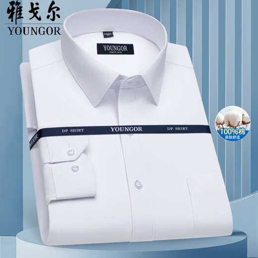 汉麻世家（HANP）雅戈尓雅戈尔男士棉长袖衬衫2025夏新款商务休闲职业正装免烫上衣 6636【星星蓝白】 XL 40 【建议135145斤】