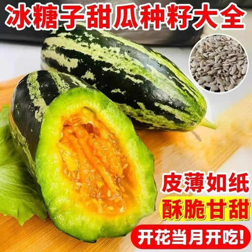Bingtangzi melon, tooth-dropping melon seeds, cantaloupe seeds, four seasons garden spring and autumn fruits and vegetables, melon seeds G Bingtangzi melon 2 packs + free fertilizer