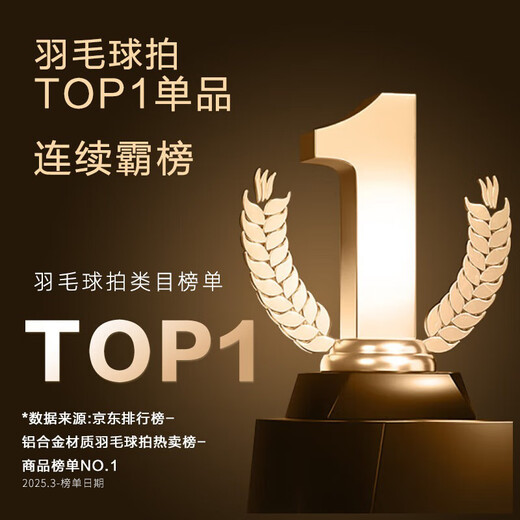 京东京造 利刃500羽毛球拍对拍套装 防断线超轻铝拍送6尼龙球