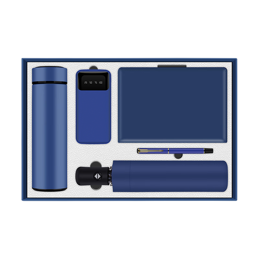 Liwang Physician's Day Gifts Business Souvenirs Souvenirs Employee Prizes Practical Company Event Thermos Cup Cup + Power Bank + Book + Pen + Umbrella [Gift Box] Blue