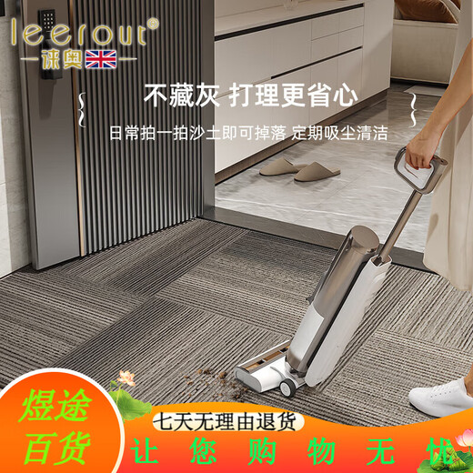 徕奥leerout入户门地垫进门地毯门口家用门垫防滑客厅玄关脚垫可裁剪 金典-15270 120cm*100cm1件数