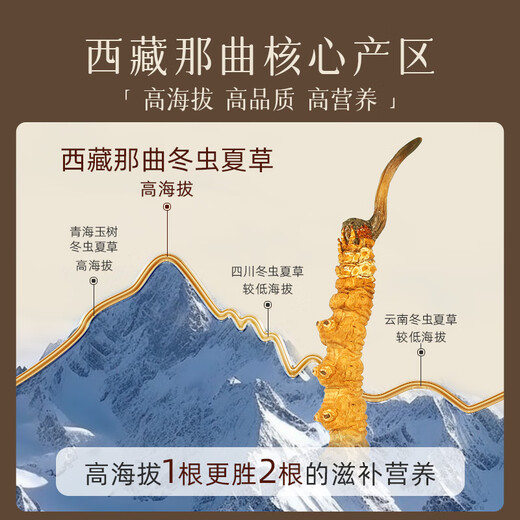 任十问野生冬虫夏草 西藏那曲断虫草甄选品质自用实惠家人滋补 高端送礼 【野生】甄选大断草 20克【家庭养补】