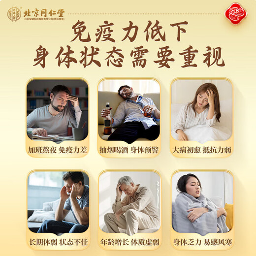 Beijing Tongrentang Ganoderma Lucidum Spore Powder 10g Rometa de pared orgánica de la montaña Changbai para mejorar la inmunidad Productos nutricionales postoperatorios