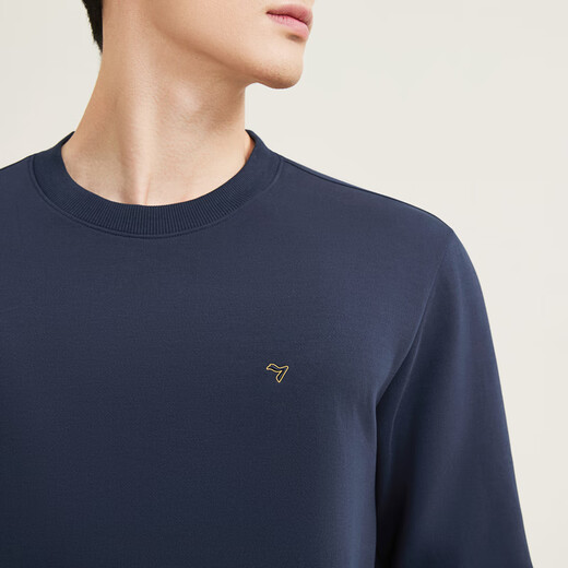 Qipai Xinjiang cotton men's round neck sweatshirt 2025 autumn fashion casual versatile pullover long-sleeved top