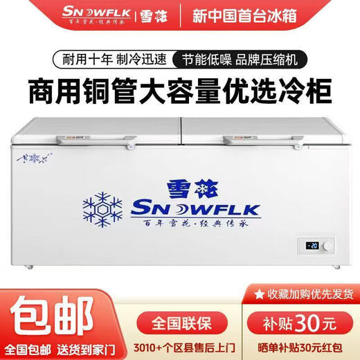 Schneeflocken-Gefrierschrank, Einzeltemperatur-Gefrierschrank, gewerblicher Haushaltskühlschrank mit großer Kapazität, Stufe 1, 1048-Digitalanzeige-Upgrade, Einzeltemperatur-Doppeltür-Gefrierschrank