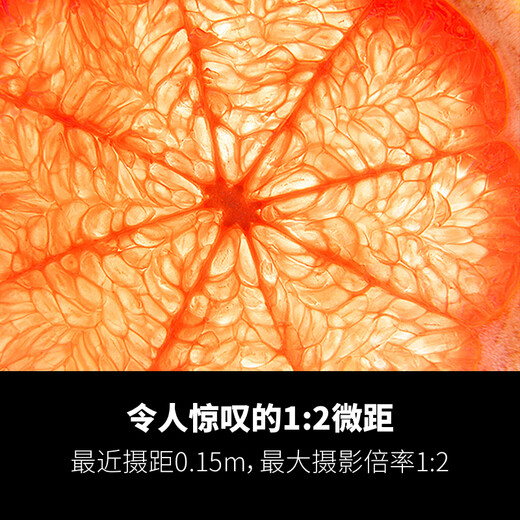 Tamron B061Z 18-300mm F/3.5-6.3 Di III-A VC VXD anti-shake telephoto large zoom mirrorless travel lens (Nikon Z-mount)