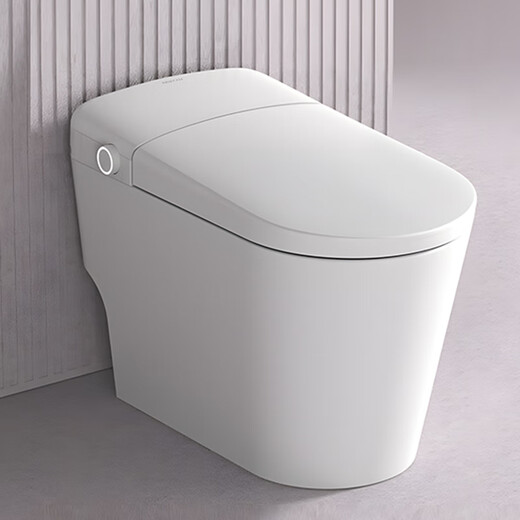 Wrigley DS Flush System Shield Bouclier Bague de siège ergonomique Stérilisation électrolytique Stérilisation Full Intelligent Toilet AKB1315-A 305/300 mm