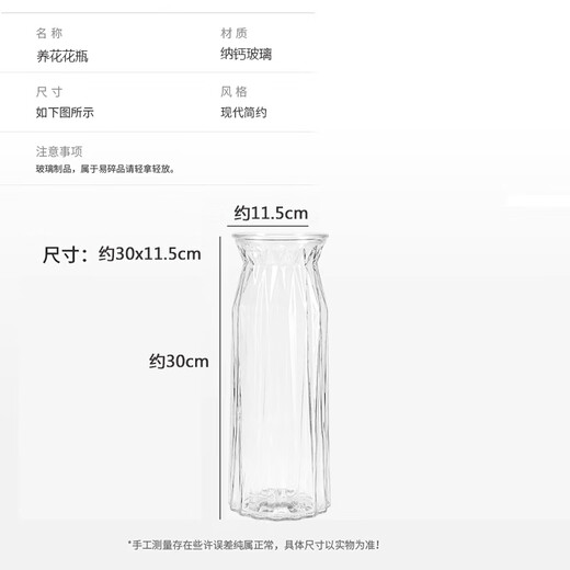 Flower growing tools glass vase 30x11.5cm