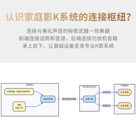 Melody DSP6300Pro digital effector, professional pre-amplifier audio processor, karaoke reverberator microphone, anti-howling vocal modification and beautification, professional sound system DSP6300 Pro luxury upgraded version with cable