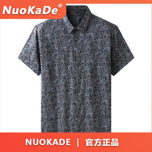 FDRENU欧美大码男装短袖衬衫男潮胖子休闲薄款冰丝花衬衣夏 9207白色 L 175_【120-140斤】