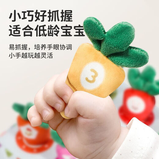 Timini Twish Toys Toys for Children pour enfants Toys for Menstruation Education Education Baby 1 boîte de serviette 0-3 ans Boîte en carton de bus [6 Radis + 5 tissu doux + 2 Papier fort]