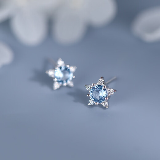 Xiangnan 925 sterling silver five-pointed star earrings for women ins niche light luxury 2025 new high-end earrings earrings fresh and sweet 925 silver five-pointed star earrings (pair)