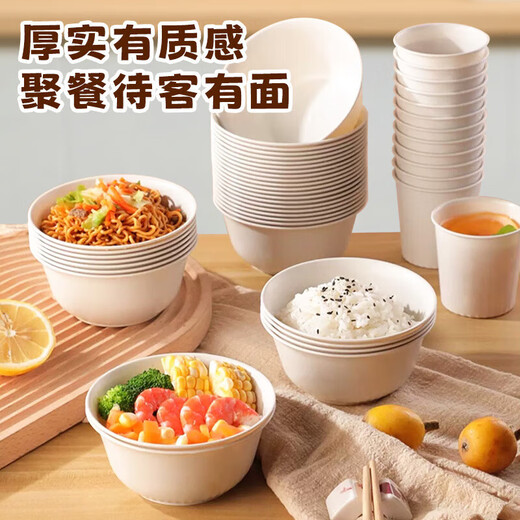 美厨（MAXCOOK）一次性餐具套装食品级环保可降解一次性碗筷勺子盘碟杯子桌布套装 餐具5件套大号 20份 MCPJ1049