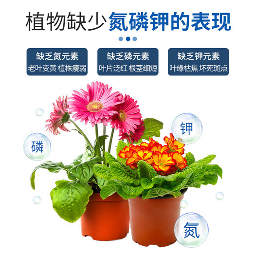 Shangyang Huaduoduo No. 2 general flowering promotion 500g gardening green plant flowers succulent plant water-soluble foliar flower fertilizer