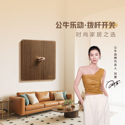 BULL – prise de commutateur rétro en acrylique, panneau ultra-fin, interrupteur à levier à double commande, à ouverture unique, G70K112, couleur noyer