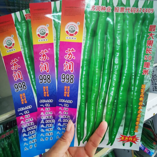 Семена перца Runxian 998 устойчивы к болезням, скороспелы и высокоурожайны. Качественные семена овощей высеваются в полевых базах на севере и юге в течение четырех сезонов (отправлено 5 упаковок) Сурун 998