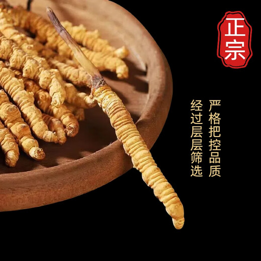 Beijing Tongrentang Pangdonglai Tonglai Cordyceps Cordyceps Boîte-cadeau Tonic Cordyceps Box cadeau King Produits nutritionnels Matériaux médicinaux toniques 50 Boîte-cadeau (Spécifications 3 tiges par gramme)