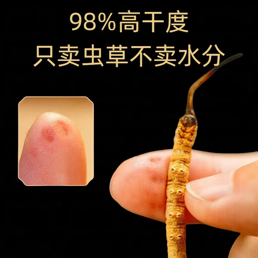 Beijing Tongrentang Pangdonglai Tonglai Cordyceps Cordyceps Boîte-cadeau Tonic Cordyceps Box cadeau King Produits nutritionnels Matériaux médicinaux toniques 50 Boîte-cadeau (Spécifications 3 tiges par gramme)