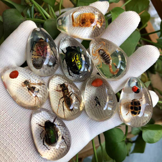 DL 1998 Fat Donglai same model luminous amber real insect specimens children's excavation archaeological blind box pendant accessories resin accessories luminous scorpion 50mm 20-