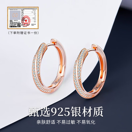 Chinese jewelry sterling silver circle earrings women's ear buckle earrings 2025 new light luxury high-end birthday gift for girlfriend