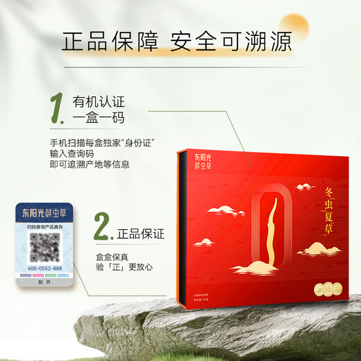 Dongyangguang Cordyceps sinensis 3-4 raíces/g15g aproximadamente 53 raíces en la caja de regalo tónica Cordyceps suplementos nutricionales para ancianos
