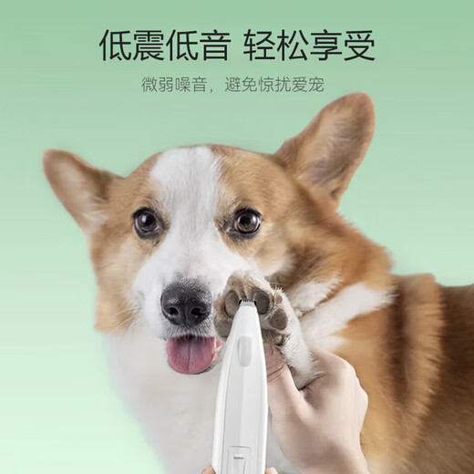 Pilot cat foot shaver, pet clipper, special shaving electric clipper, cat and dog claw and foot hair trimmer, new upgrade, LED rechargeable model, simple white