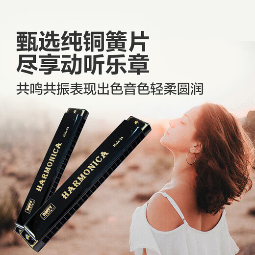 口琴 吹奏乐器 初学入门款礼物 学生自学专业演奏儿童礼物 24孔 初学款口琴24孔双排【喷漆】