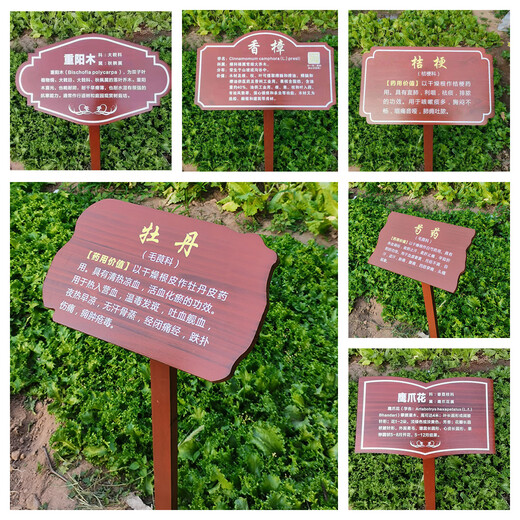 Customized outdoor antiseptic wood, Chinese herbal medicine, flowers and plants, introduction, science brand label, ground brand, tree name brand, size 30*50cm, pole height 1 meter/thickened