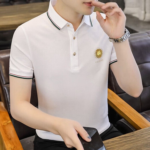 FJLT轻奢高档品牌polo衫男士T恤夏季新款时尚短袖翻领商务透气上衣 F6628（绿色） XL (建议130-145斤)