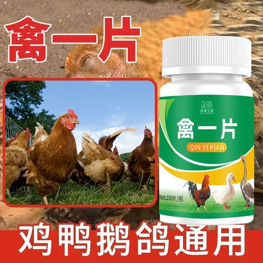 Poultry tablets, authentic chicken, duck, goose and poultry first aid tablets for colds and diarrhea